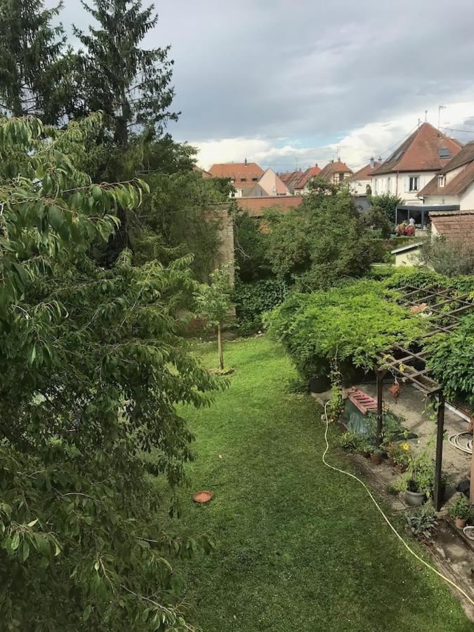 Appartement Chez Fabie Sélestat Exteriör bild